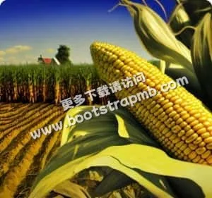 专业服务，全程守护 - j9